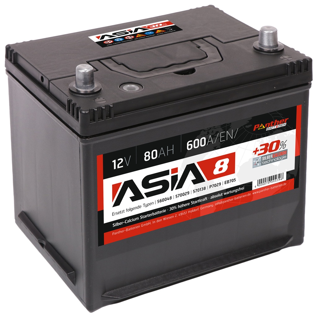Batterie Asia 8 80ah/600a