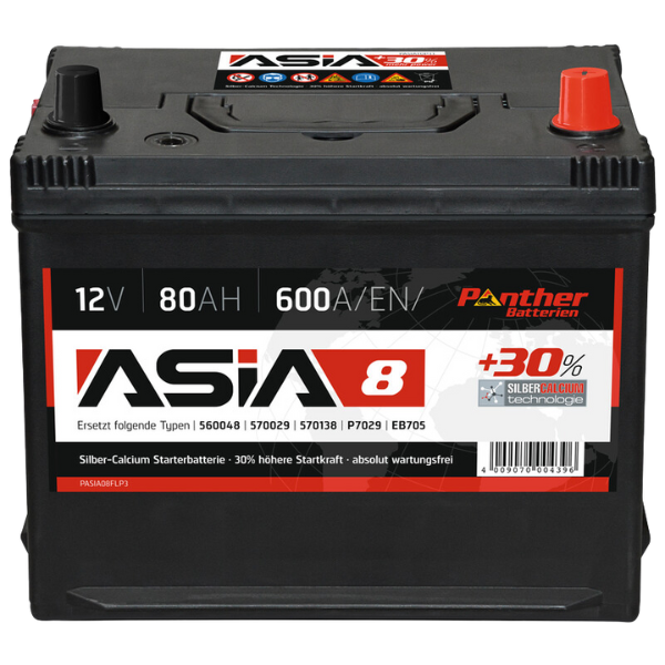 Asia 8 Batterie 80ah/600a